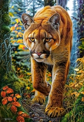 Puzzle Castorland Puma en el bosque 1500 piezas