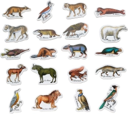 Imanes zoológicos