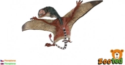 Modelo de pterosaurio volador