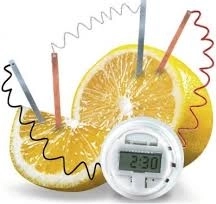 Reloj de limón 4M