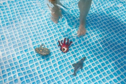 Animales marinos para agua para niños