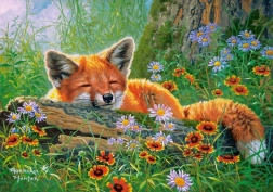 Puzle de 500 piezas Foxy Dreams