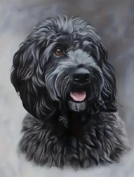 Pintura con diamantes cockapoo negro 30 × 40 cm