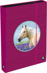 Caja para cuadernos A4 Jumbo OXY Sherpy Pink
