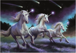 Puzzle Educa Estrellas fugaces 1000 piezas