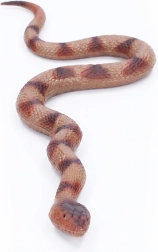 Serpiente de goma blanda de 60 cm