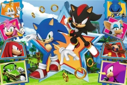 Puzle de 100 piezas - Conoce a Sonic