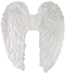 Alas de ángel con plumas