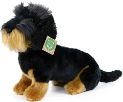Rappa perro salchicha de pelo duro de peluche 30 cm eco friendly