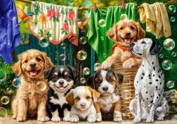 Rompecabezas Castorland cachorros, colada y juegos de pájaros 500 piezas