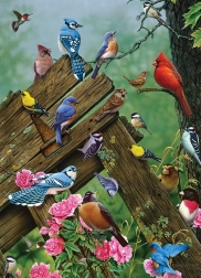 Puzzle Aves del bosque 1000 piezas Cobble Hill