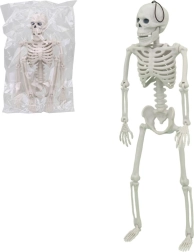 Esqueleto, figura de plástico 40 × 13 × 5 cm