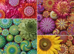 Puzzle Ravensburger Mandala de flores 500 piezas