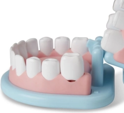 Melissa & Doug set dental para niños