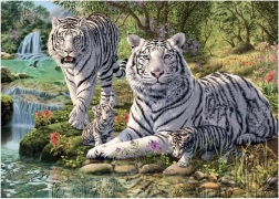 Puzle Tigres Blancos 1000 Piezas – Colección Secreta de Dino