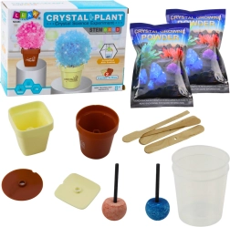 Kit educativo Cultivar árbol mágico de cristales