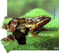 Just Jigsaws Rana y su ciclo de vida - puzle de madera por capas