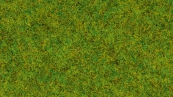 Noch hierba estática pradera primaveral 2,5 mm