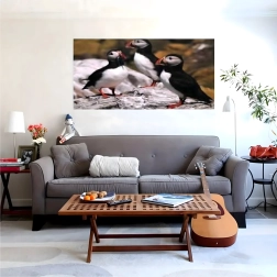 Pintura con diamantes XXL 120 × 60 cm – frailecillos, set para mosaico