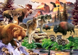 Puzzle Naturaleza 500 piezas