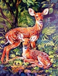 Pintura de diamantes: cervatillos en el bosque 30 × 40 cm