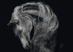 Puzzle Fuerza del caballo 1000 piezas