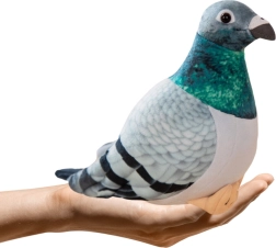 Paloma torcaz de peluche 20 cm