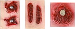 Cicatrices adhesivas para carnaval y Halloween