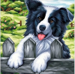 Bordado con diamantes (diamond painting) cuadro «Perro en la valla» 30 × 30 cm - 1 pieza
