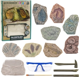 Set paleontológico de excavación: bloque de yeso con herramientas