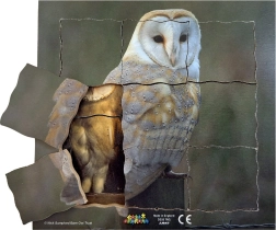 Just Jigsaws Búho y su ciclo de vida - rompecabezas de madera por capas