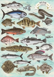 Puzzle TREFL Premium Plus Finders Keepers: peces 500 piezas