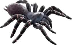 Tarántula de plástico: juguete realista para niños
