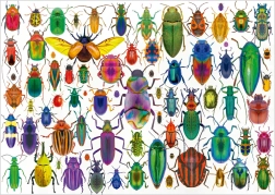 Educa Puzzle Escarabajos 500 piezas