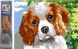 Pintura con diamantes – Ojos de perro 30 × 40 cm