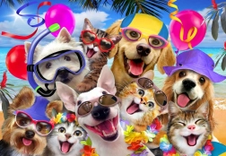 Alipson Puzzle Selfie Fiesta en la playa 1000 piezas
