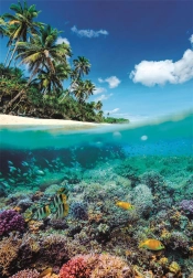 Puzzle Paraíso de verano de 1000 piezas de Clementoni
