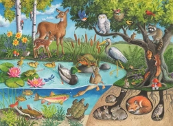 Puzle animales en la tierra y bajo ella – secretos de la naturaleza 60 piezas