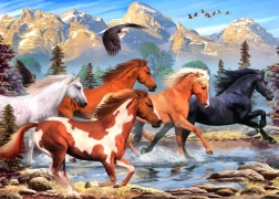 Puzzle ALIPSON Salvajes y libres 500 piezas