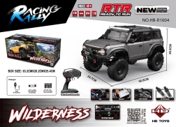 Coche RC Wilderness 1:10 gris