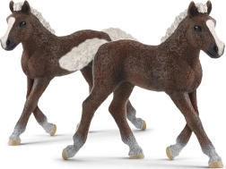 SCHLEICH HORSE CLUB potro de la Selva Negra – figura