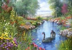Puzzle Castorland cisnes negros 1500 piezas