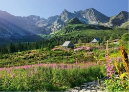 Puzzle CHERRY PAZZI Altos Tatras – Valle de Housenka, 1000 piezas