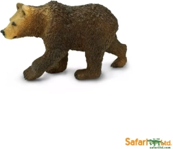 Oso grizzly – cría