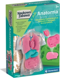 Kit educativo de anatomía CLEMENTONI