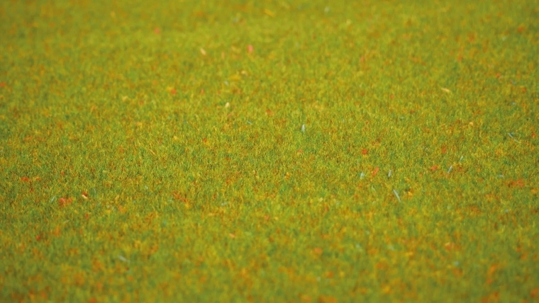 Pradera florecida realista a primera vista