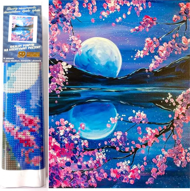 Norimpex pintura con diamantes Luna naciente 30x40 cm
