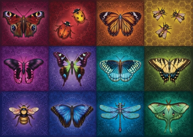 Puzzle de 1000 piezas RAVENSBURGER Hermosas criaturas aladas