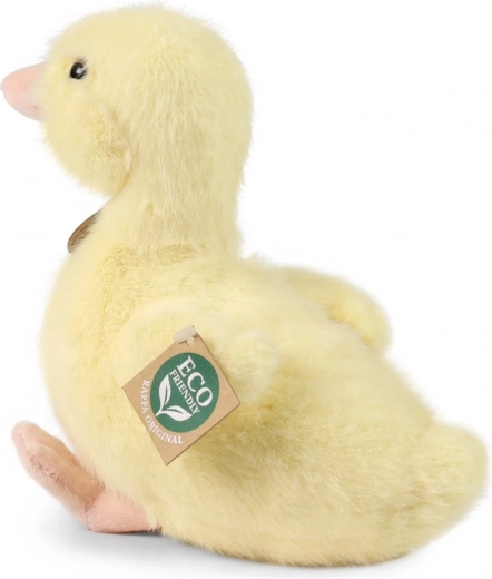 Abrazo seguro desde 0+