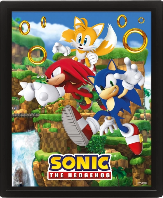 Cuadro 3D SONIC – Catching Rings